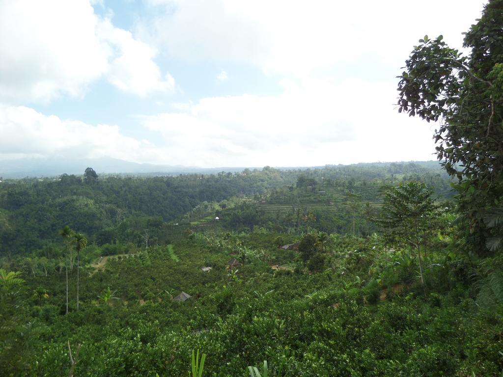 Senetan Villas And Spa Resort Ubud  Bagian luar foto