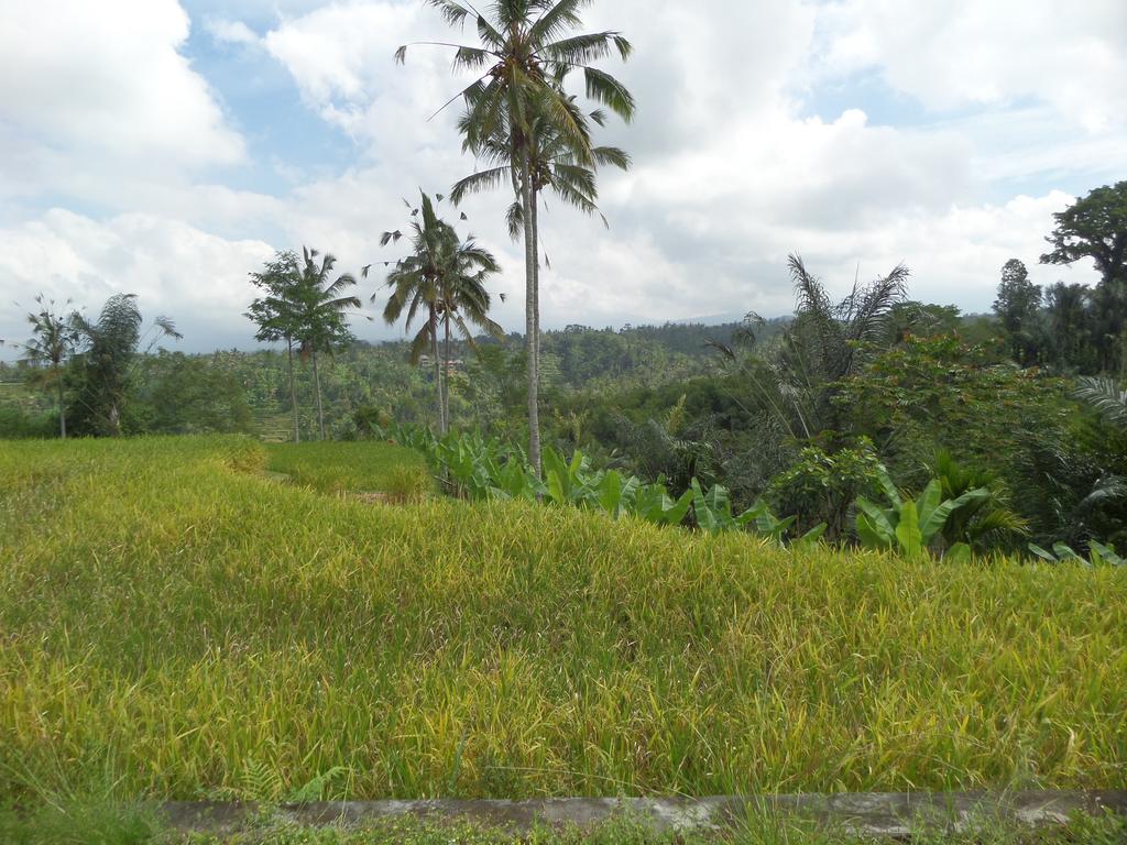 Senetan Villas And Spa Resort Ubud  Bagian luar foto